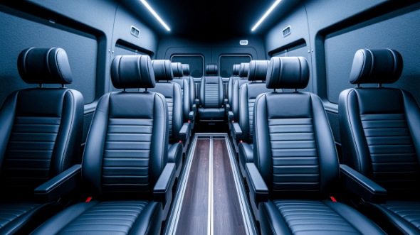 sprinter van with driver rental tamarac